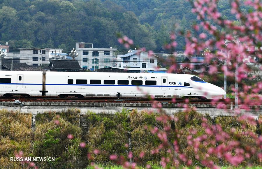 Поезд весны в провинции Гуйчжоу