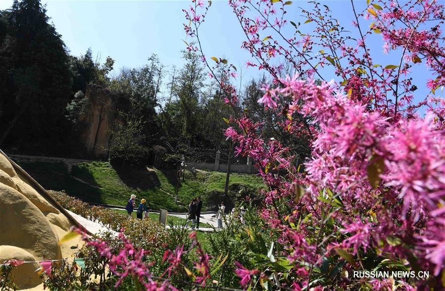 Краски весны в уезде Лулян