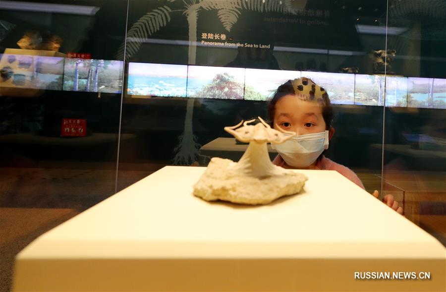 Шанхайские музеи вновь открылись для посетителей