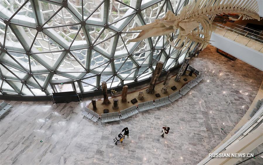 Шанхайские музеи вновь открылись для посетителей