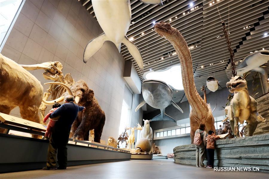 Шанхайские музеи вновь открылись для посетителей