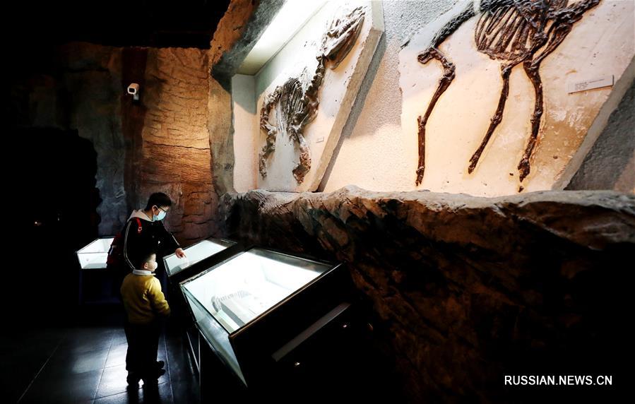 Шанхайские музеи вновь открылись для посетителей