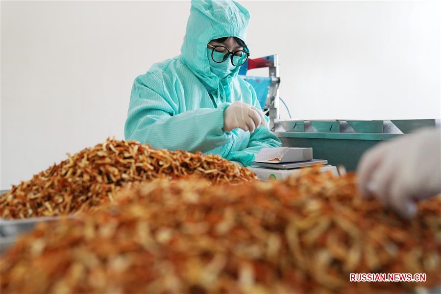 Производство лекарственных средств традиционной китайской медицины для профилактики COVID-19 в провинции Хэйлунцзян