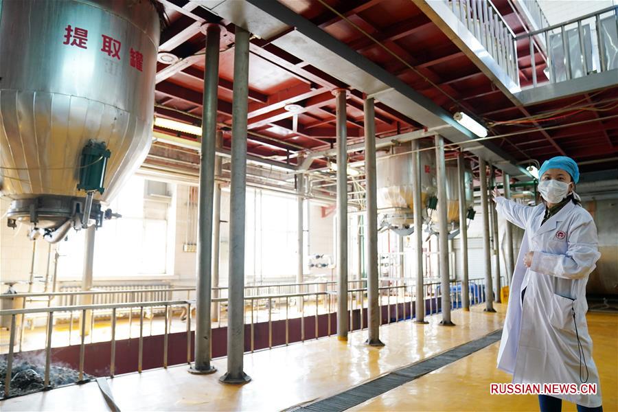 Производство лекарственных средств традиционной китайской медицины для профилактики COVID-19 в провинции Хэйлунцзян