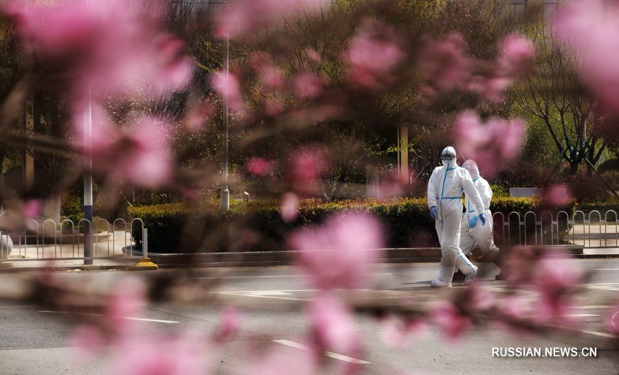 Один В Один Новый Сезон 19 Года