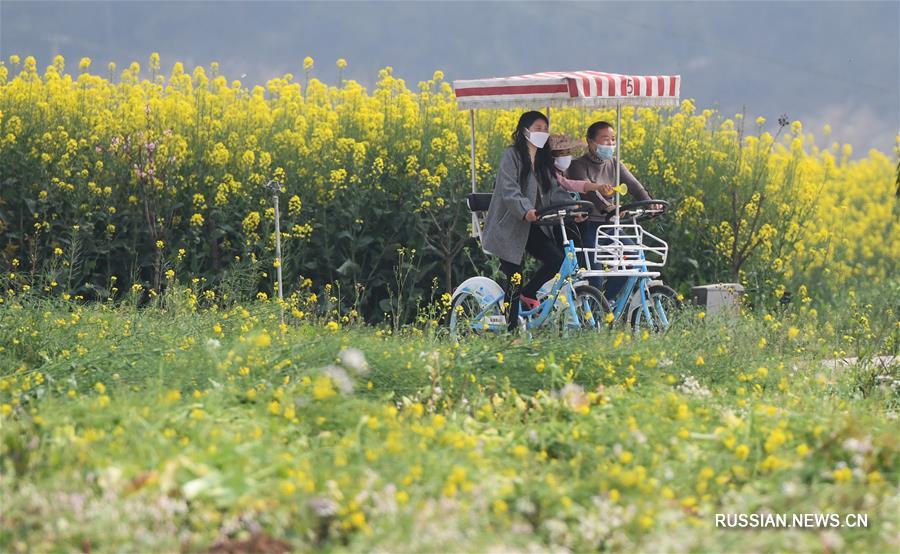 Сельское хозяйство в уезде Данъян возвращается к жизни