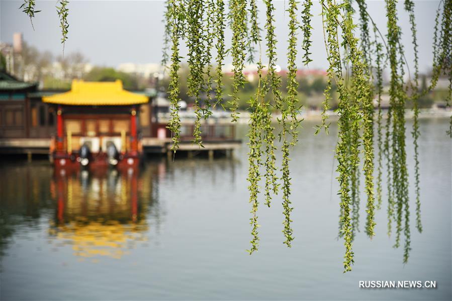 Весна над озером в Цзинане