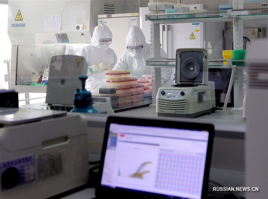 В Шанхае будут тестировать на COVID-19 всех прибывающих из стран, не входящих в зону риска