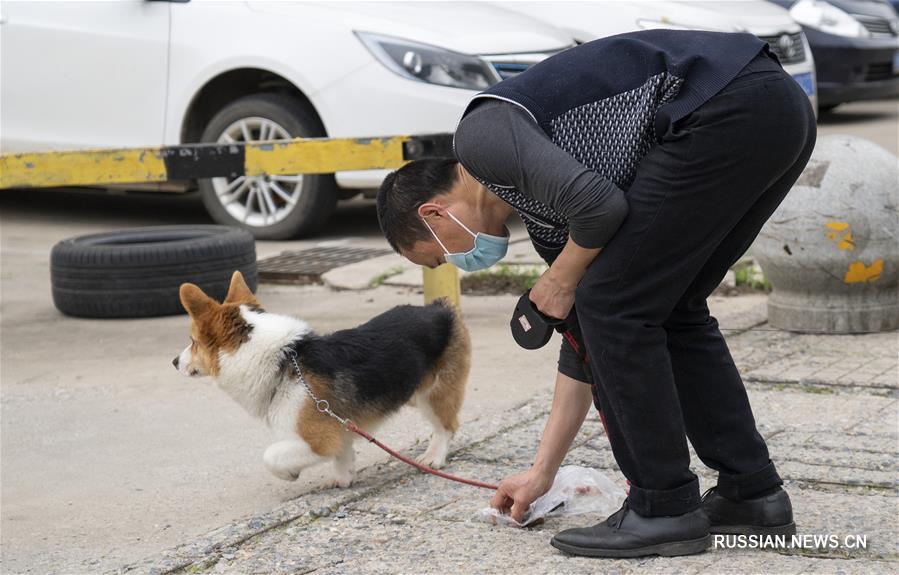 В Ухане ветеринар ухаживает за животными на фоне эпидемии COVID-19