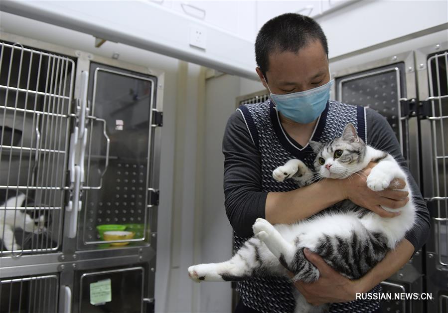 В Ухане ветеринар ухаживает за животными на фоне эпидемии COVID-19