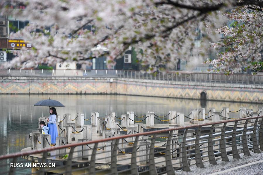 В Ухане постепенно пробуждается жизнь