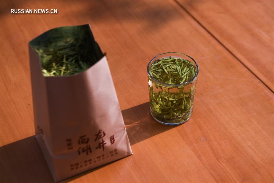 В провинции Чжэцзян наступил сезон сбора чая "Сиху Лунцзин"