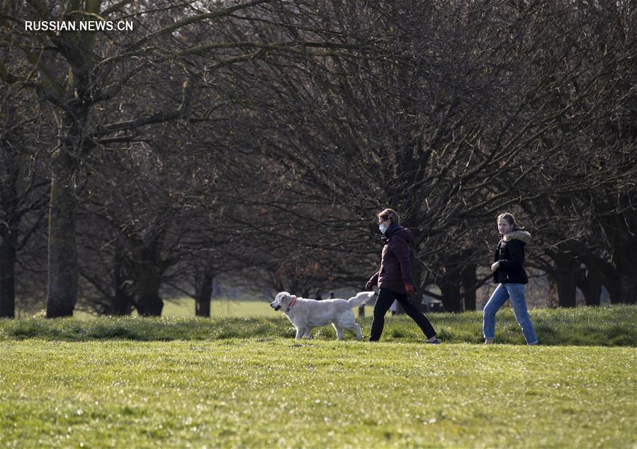 В Великобритании число подтвержденных случаев заражения COVID-19 превысило 10 тысяч