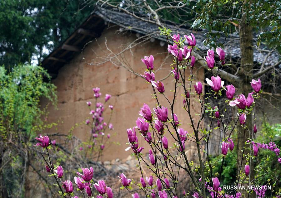  Весна в древней деревне в Центральном Китае