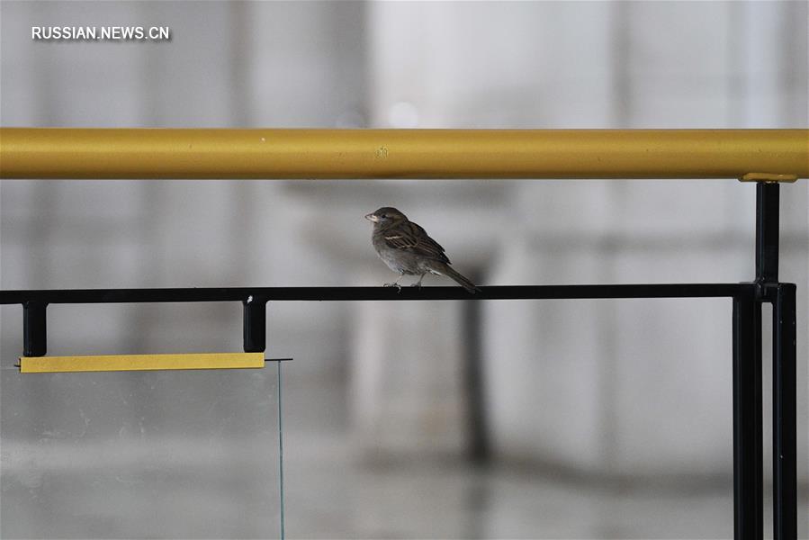 Число подтвержденных случаев COVID-19 в США превысило 140 тыс. - Университет Джонса Хопкинса