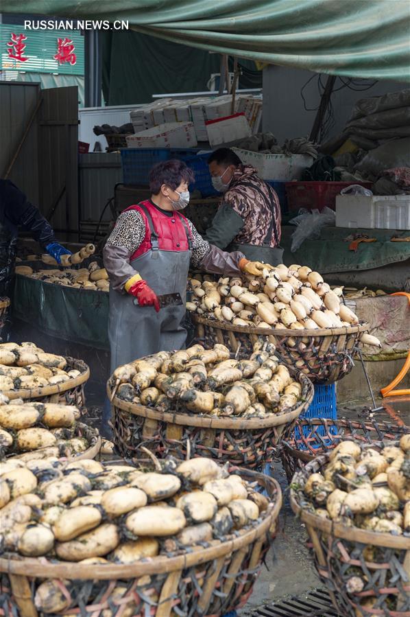 Оптовая база "Чжуешань" принимает меры для стабильного наполнения продовольственной корзины в период эпидемии