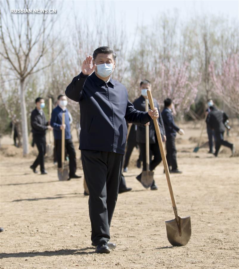  Партийные и государственные руководители Китая приняли участие в посадке деревьев
