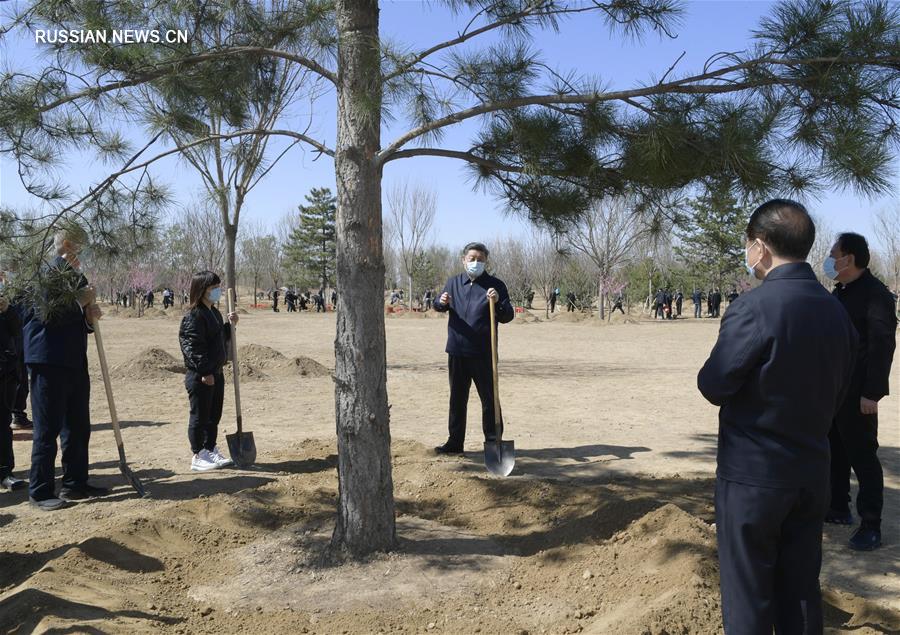  Партийные и государственные руководители Китая приняли участие в посадке деревьев