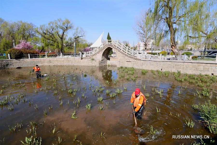 Экологическое обустройство русел рек в Циндао 
