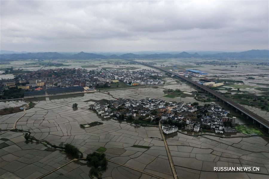 Весенние рисовые поля уезда Биньян
