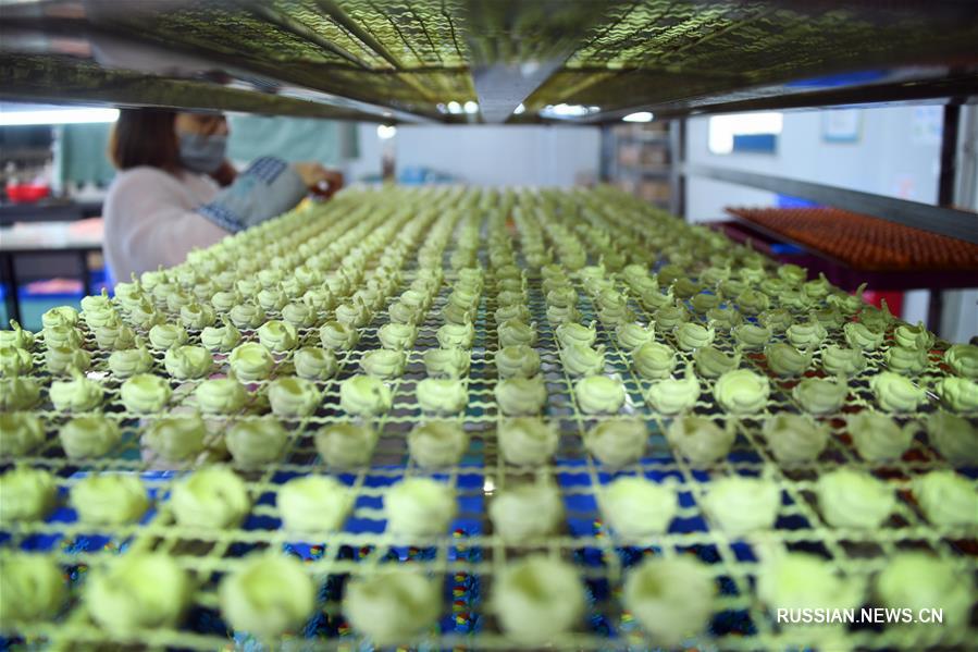 Полностью возобновилось производство на фабрике игрушек в поселении экономических мигрантов Танфан