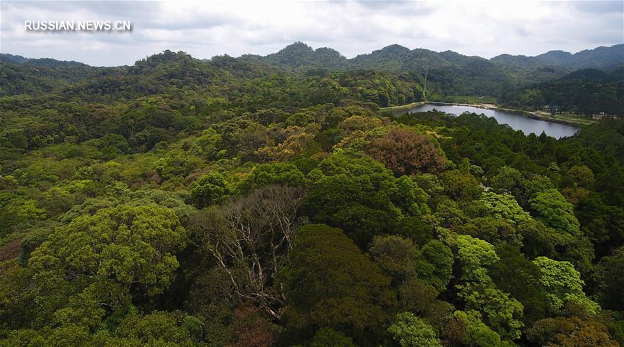 Хайнаньский национальный парк тропических лесов -- природная жемчужина порта свободной торговли