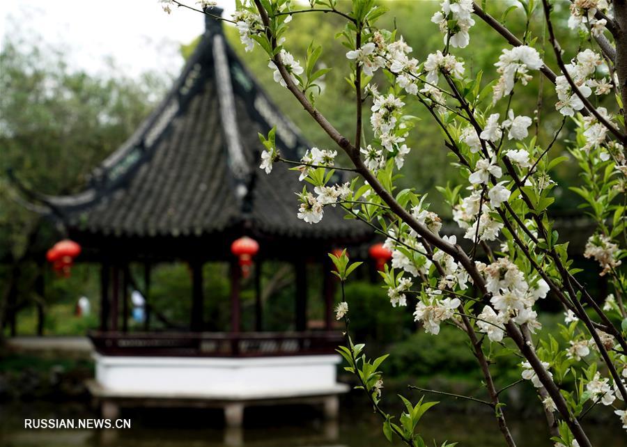 Весенний день в старинном шанхайском парке