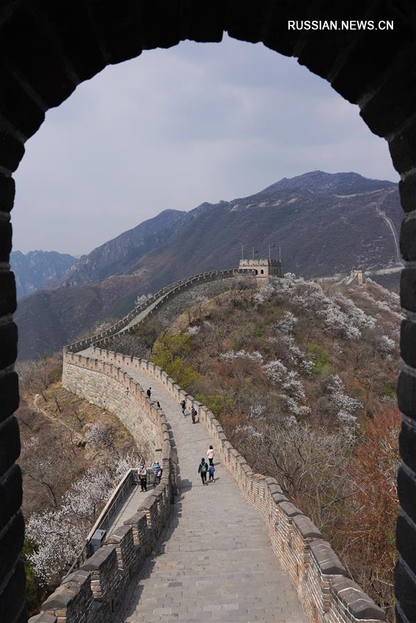 Весенние пейзажи Великой Китайской стены