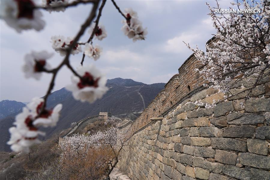 Весенние пейзажи Великой Китайской стены