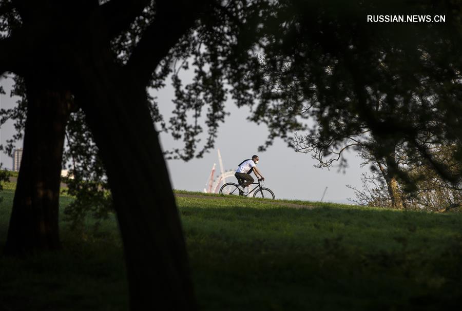 В Великобритании число погибших от COVID-19 приблизилось к 10 тыс.