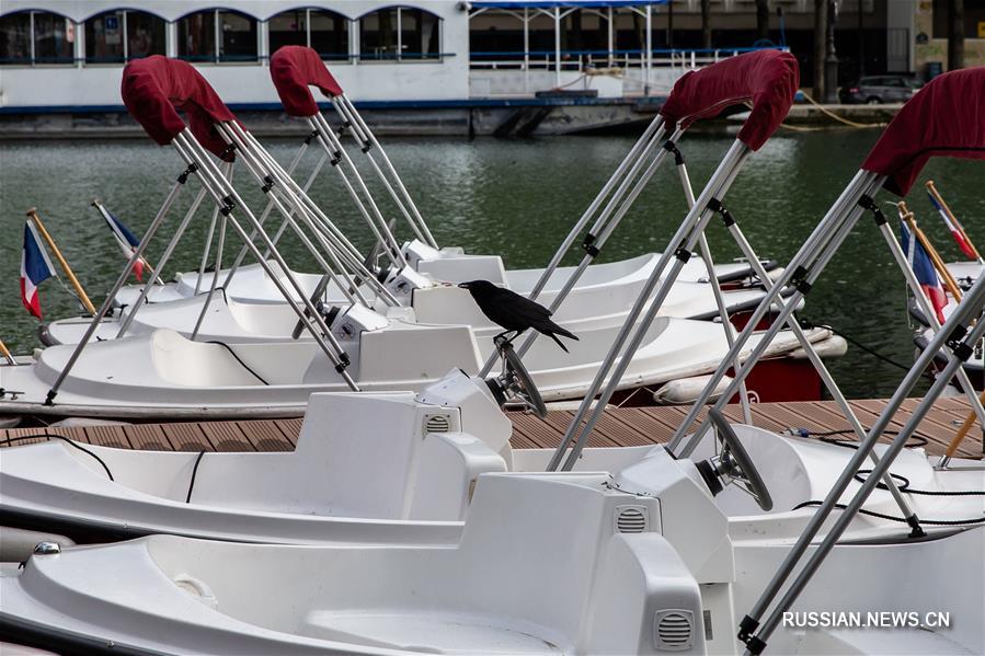 Во Франции число умерших от COVID-19 составило 14393 человека