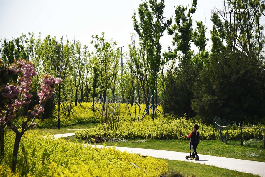 Зеленая весна в Цзинане