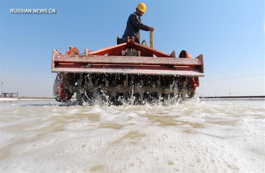 На севере Китая вновь начался сезон добычи соли