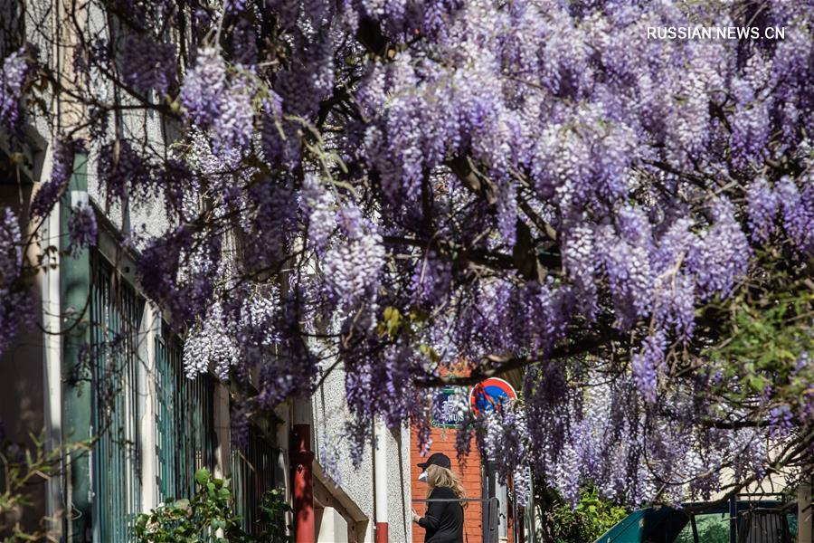 Во Франции впервые снизилось число пациентов с COVID-19, находящихся в больницах на лечении