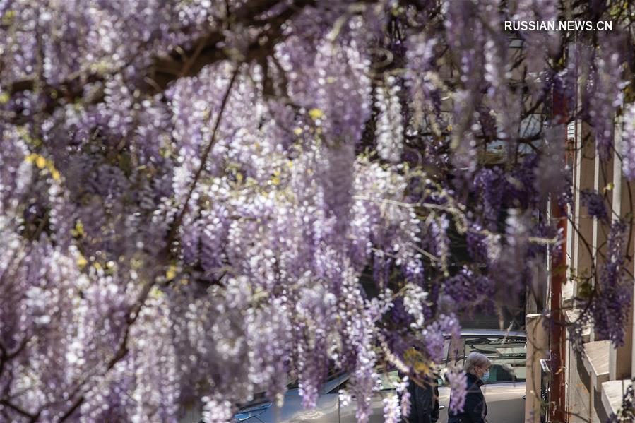 Во Франции впервые снизилось число пациентов с COVID-19, находящихся в больницах на лечении