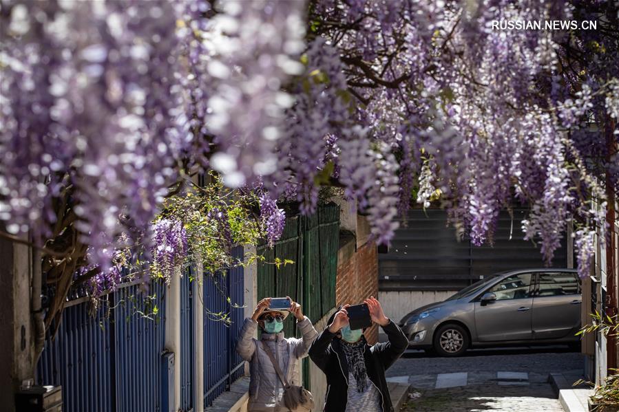 Во Франции впервые снизилось число пациентов с COVID-19, находящихся в больницах на лечении