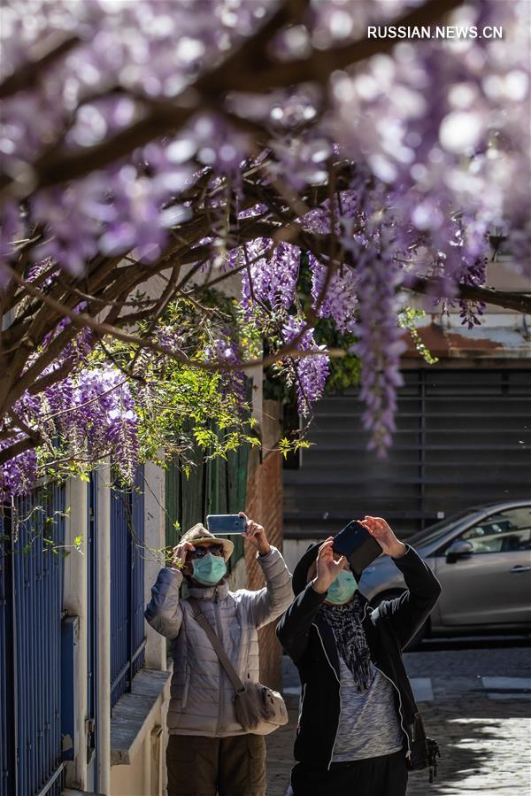 Во Франции впервые снизилось число пациентов с COVID-19, находящихся в больницах на лечении