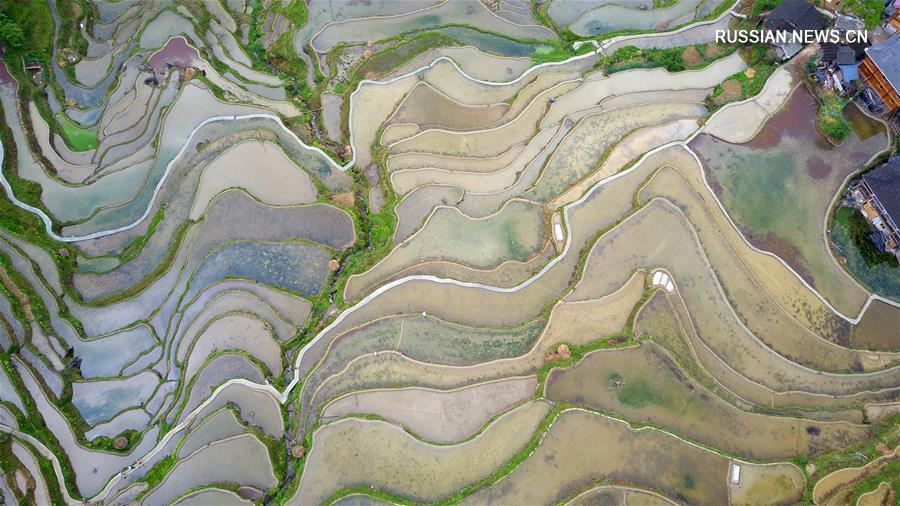 Волшебство террасных полей в провинции Гуйчжоу