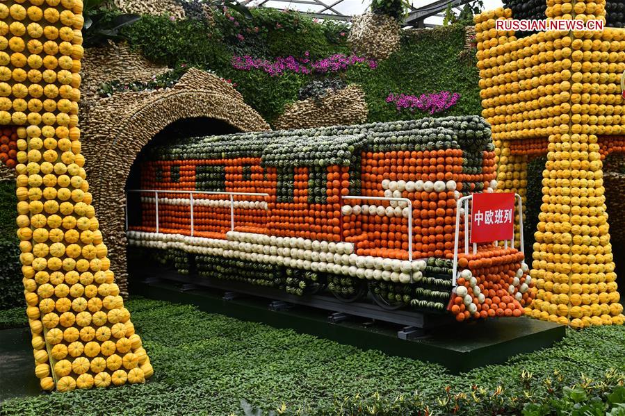 В пров. Шаньдун проходит международная научно-технологическая выставка овощеводства