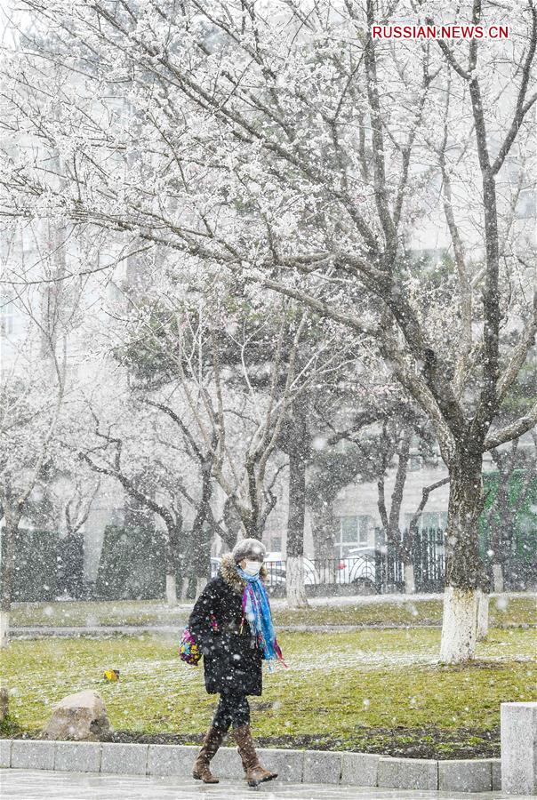 Весенний снег в провинции Цзилинь