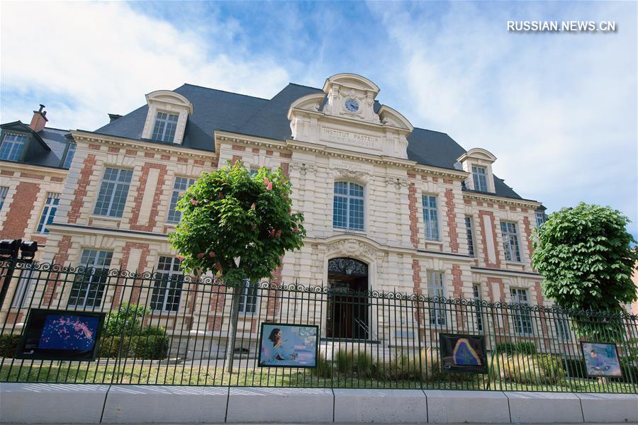 Число умерших от COVID-19 во Франции увеличилось до 20796