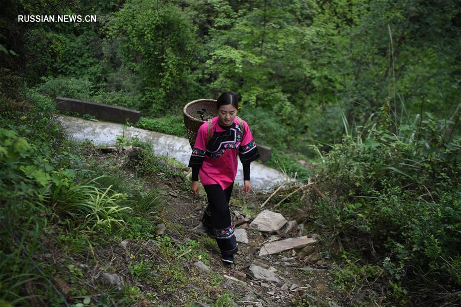 Интернет-знаменитости из мяоской деревни Шибадун