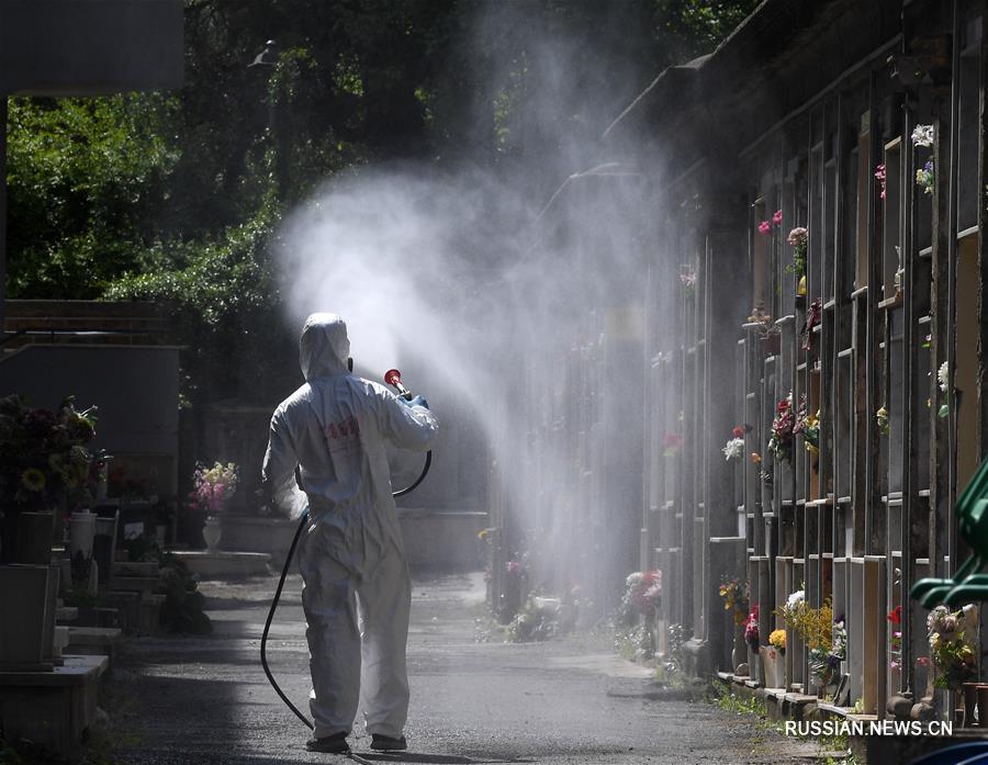 Общее число умерших от COVID-19 в Италии превысило 29 тыс. человек