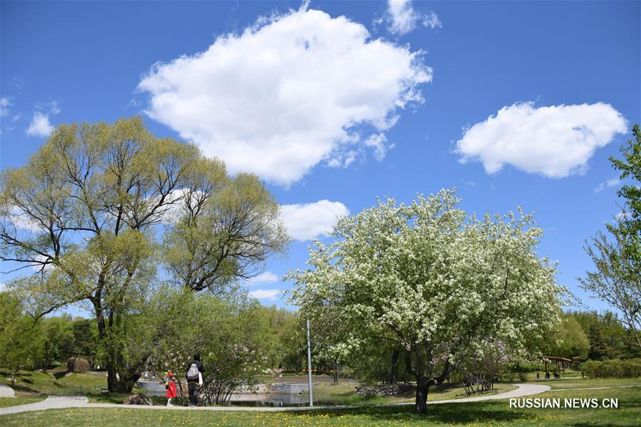 Солнечный остров в провинции Хэйлунцзян