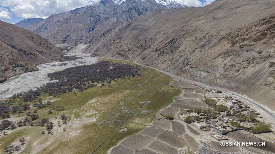 Видовое многообразие природного заповедника Джомолунгма находится под надежной охраной