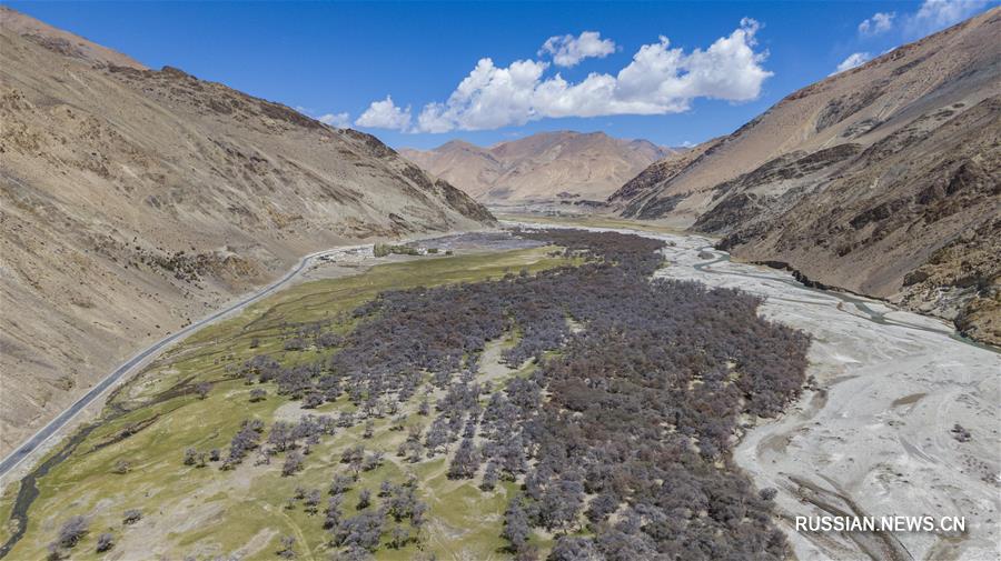 Видовое многообразие природного заповедника Джомолунгма находится под надежной охраной