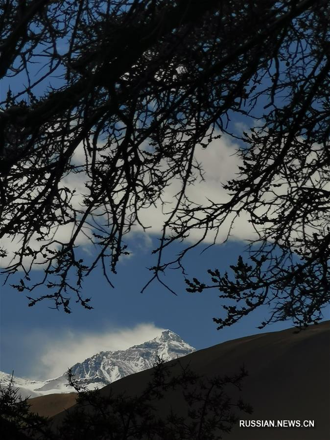 Видовое многообразие природного заповедника Джомолунгма находится под надежной охраной