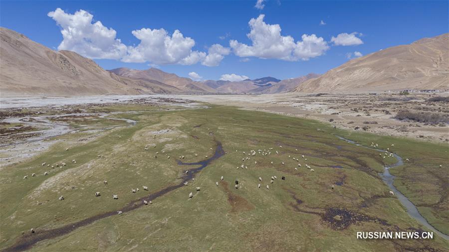 Видовое многообразие природного заповедника Джомолунгма находится под надежной охраной