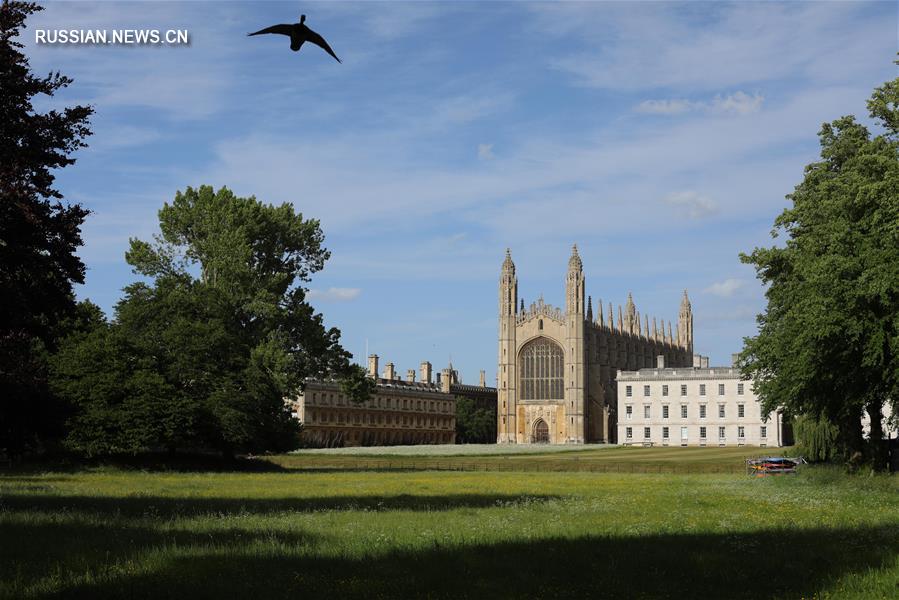 Кембриджский университет скорректирует модель обучения в 2020-2021-м учебном году