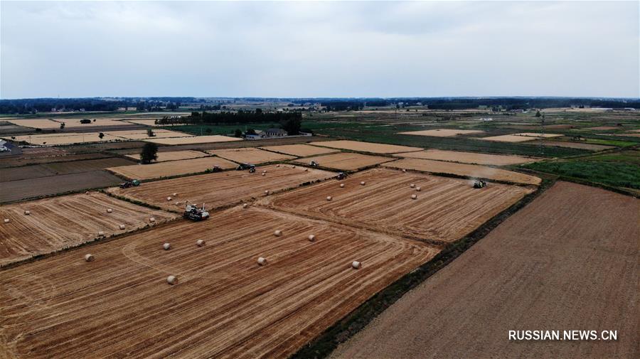 Вторичная переработка соломы во время сезона сбора урожая пшеницы на востоке Китая